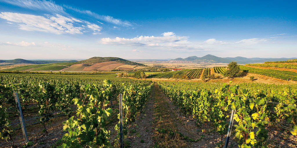 tokaj